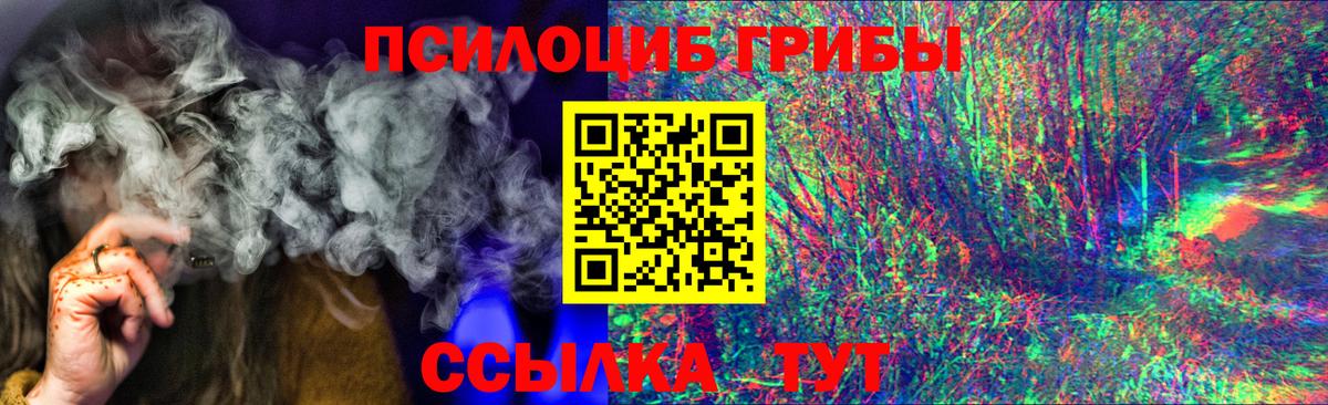 Псилоцибиновые грибы Magic Shrooms Камышлов