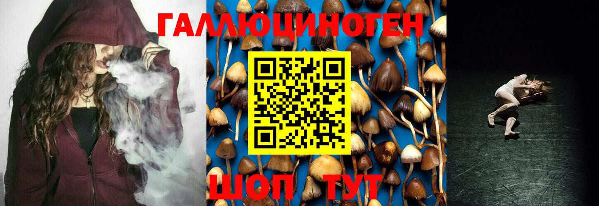 Галлюциногенные грибы мицелий  Вход с VPN  Камышлов 